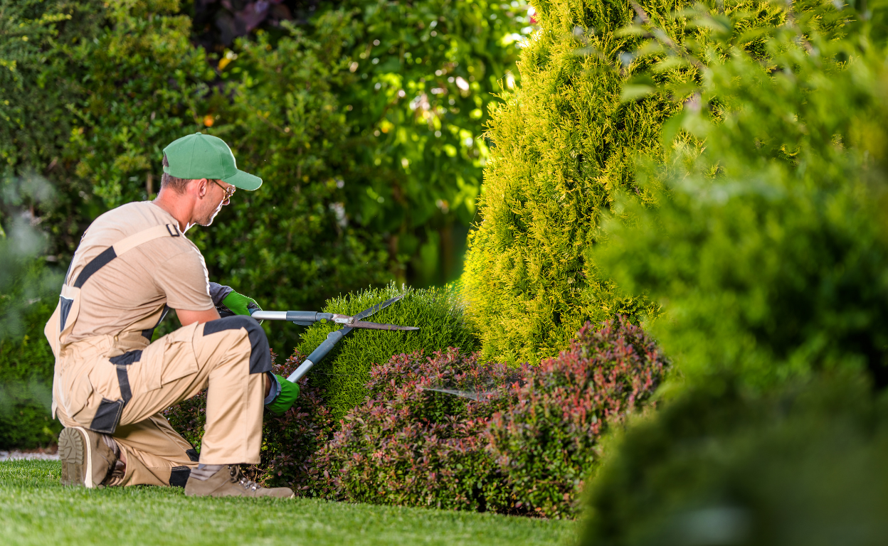 Garden Services